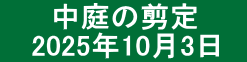 　　 中庭の剪定  　2025年10月3日　